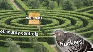 Secret Through Obsecurity